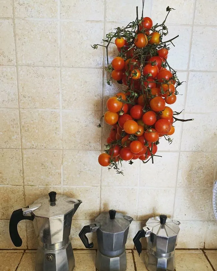 B&B Bari Old Town Bed & Breakfast